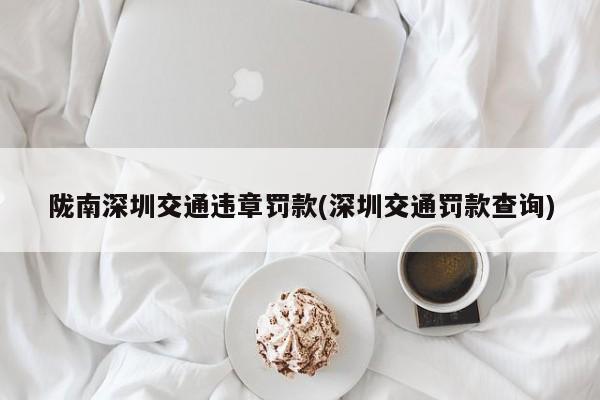 陇南深圳交通违章罚款(深圳交通罚款查询)