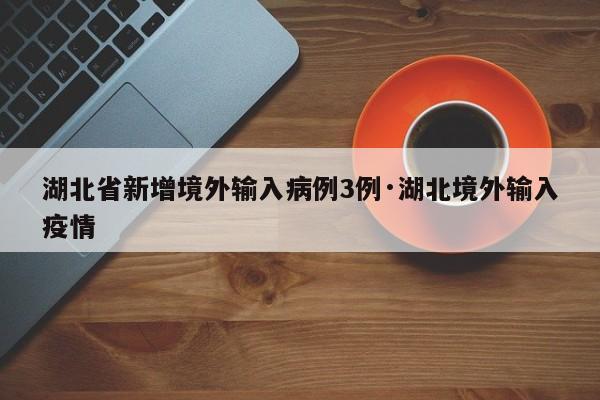 湖北省新增境外输入病例3例·湖北境外输入疫情